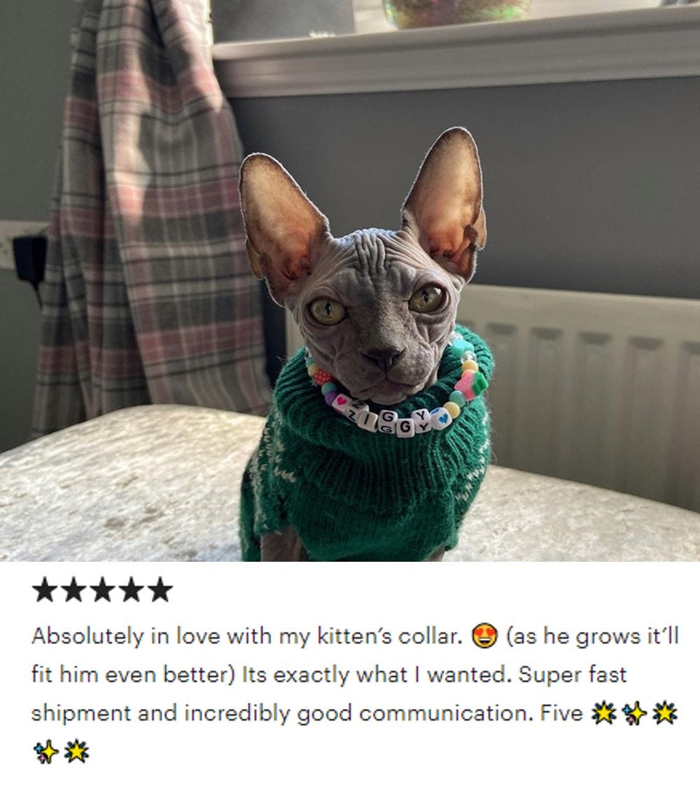 Custom Beaded Pet Necklace